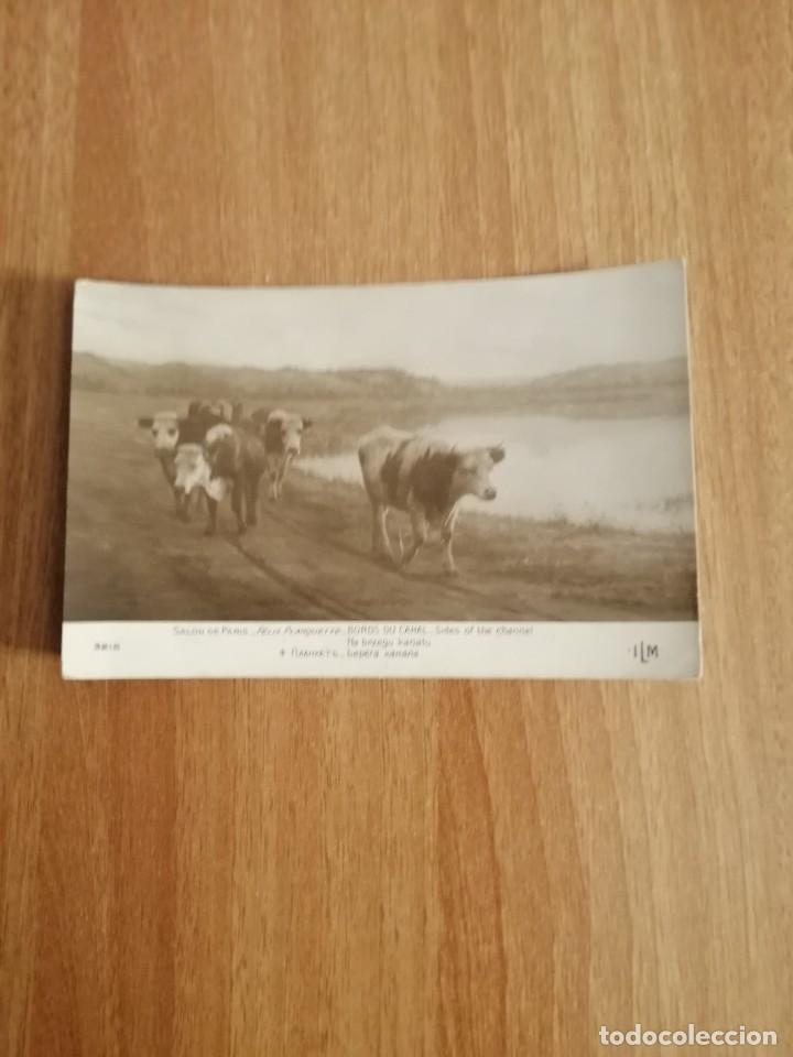 Cartes Postales: POSTAL SALON PARIS KANATU SIN CIRCULAR