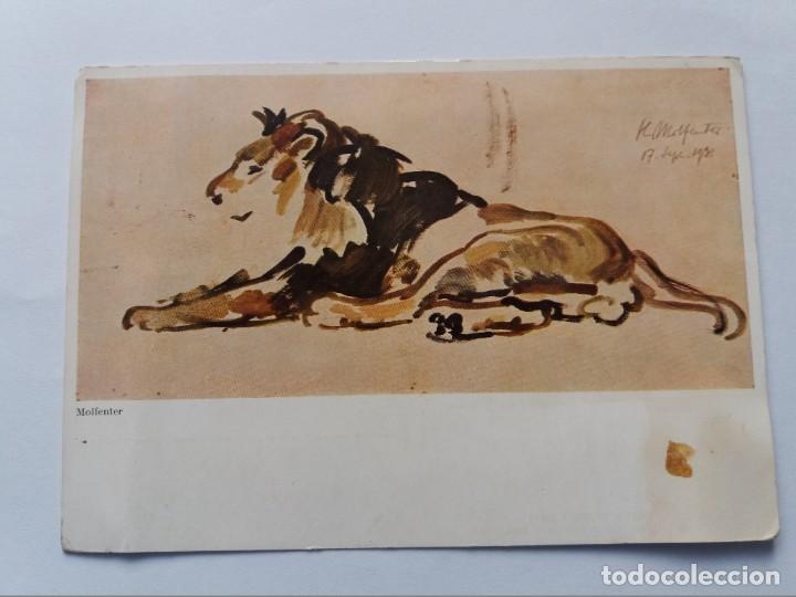 Postales: POSTAL - HANS MOLFENTER - BERBER LION - LE&Oacute;N DE BARBARY - Foto 1