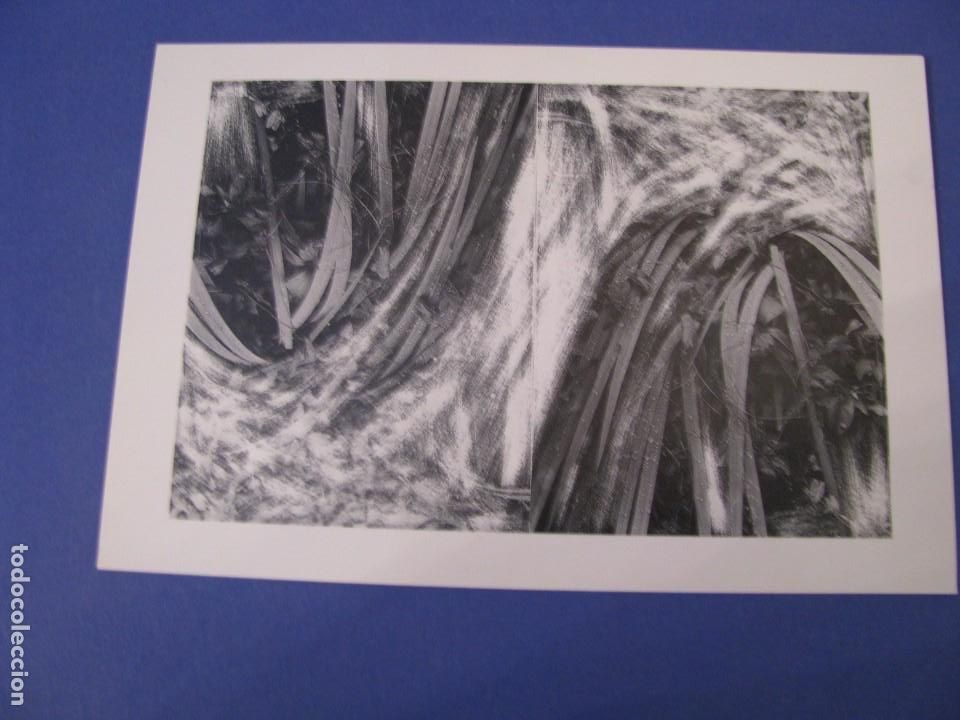 Postkarten: TARJETA POSTAL. SALA DE EXPOSICIONES AULA 7 1993. MALAGA. NATALIA RESNIK, MALAGA.