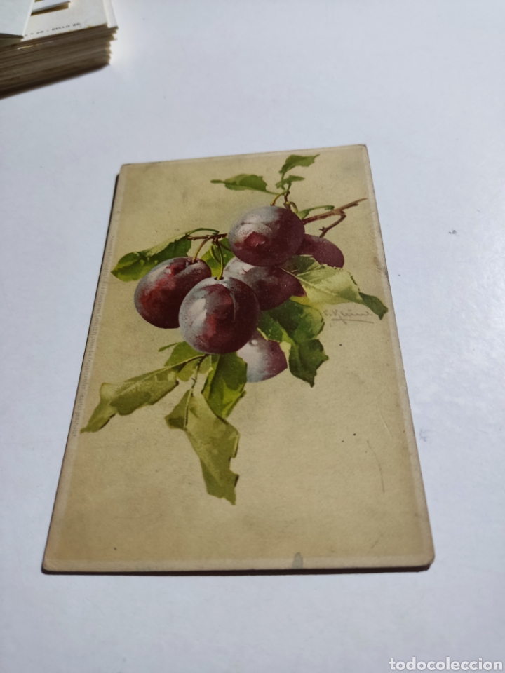 Postcards: Postal antigua Francia flores arte pintura