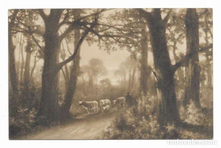 Postales: Postal. M. MUNK n&ordm; 623. M.M. VIENNE 1912