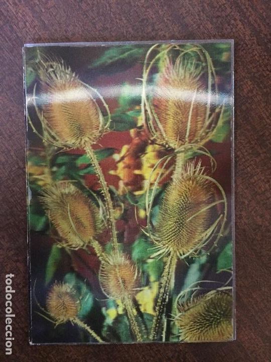 Cartoline: Postal estereosc&oacute;pica efecto 3D, FLORES, marca FISA - ESCUDO DE ORO