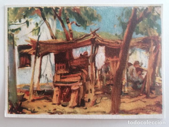 Postales: POSTAL IBIZA, BALEARES DE TUSELL, N&ordm;8 - Foto 1