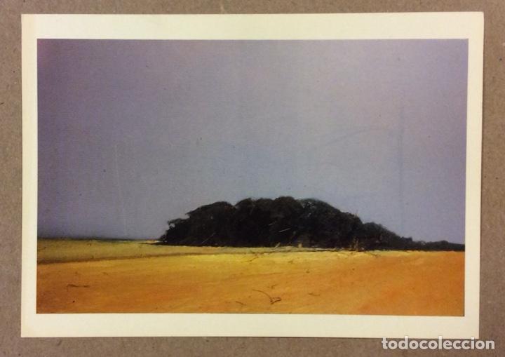 Postkarten: COLIN SELF &ldquo;LARGE HARVEST FIELD AND WOODS NEAR HAPPISBURGH, NORFOLK&rdquo;. POSTAL SIN CIRCULAR.