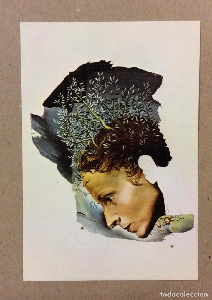Postales: SALVADOR DAL&Iacute; &ldquo;GALA&rdquo;. POSTAL SIN CIRCULAR. - Foto 1