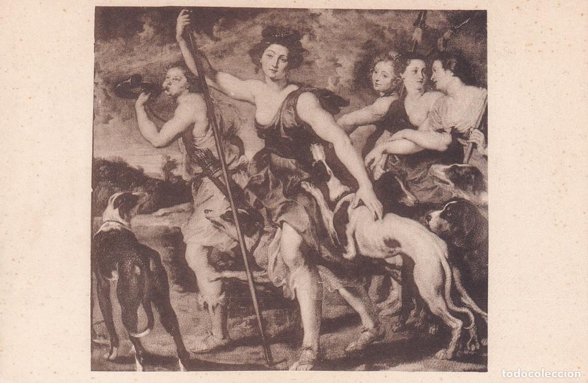 Postales: MUSEO DEL PRADO - RUBENS. LA CAZA DE DIANA