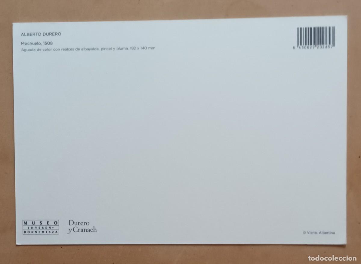 Postales: POSTAL - ALBERTO DURERO - MOCHUELO - Foto 2