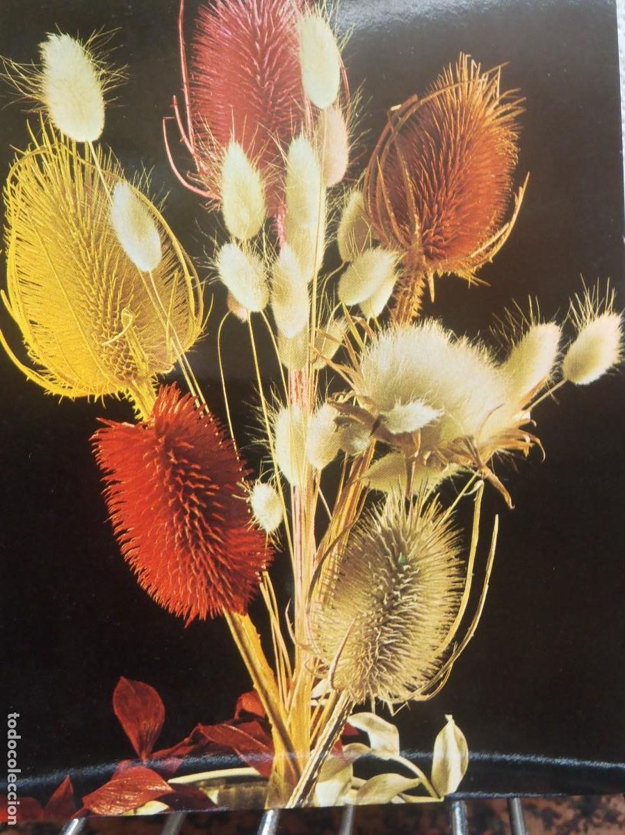 Cartoline: ADORNO CON FLORES