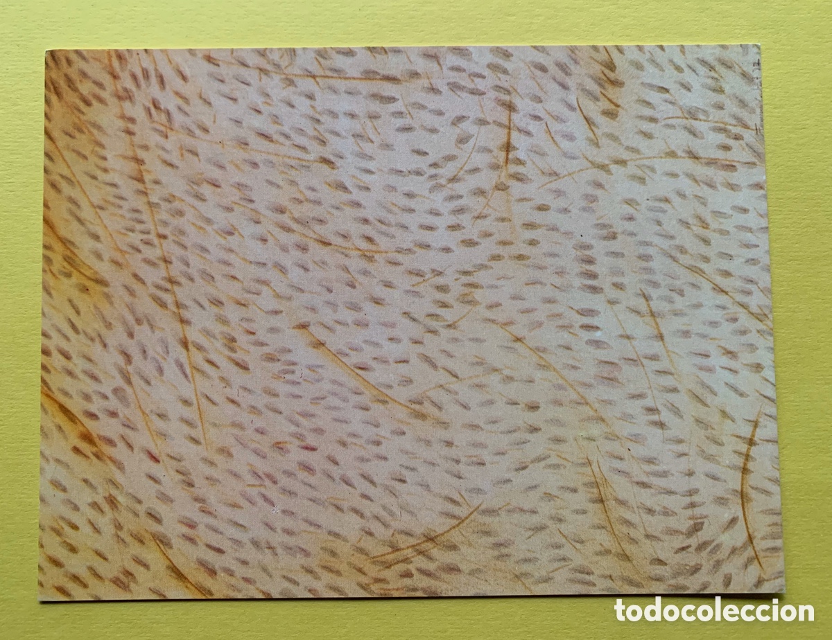 Postales: ARTE Francesc Guitart 1977 Galer&iacute;a Eude Postal