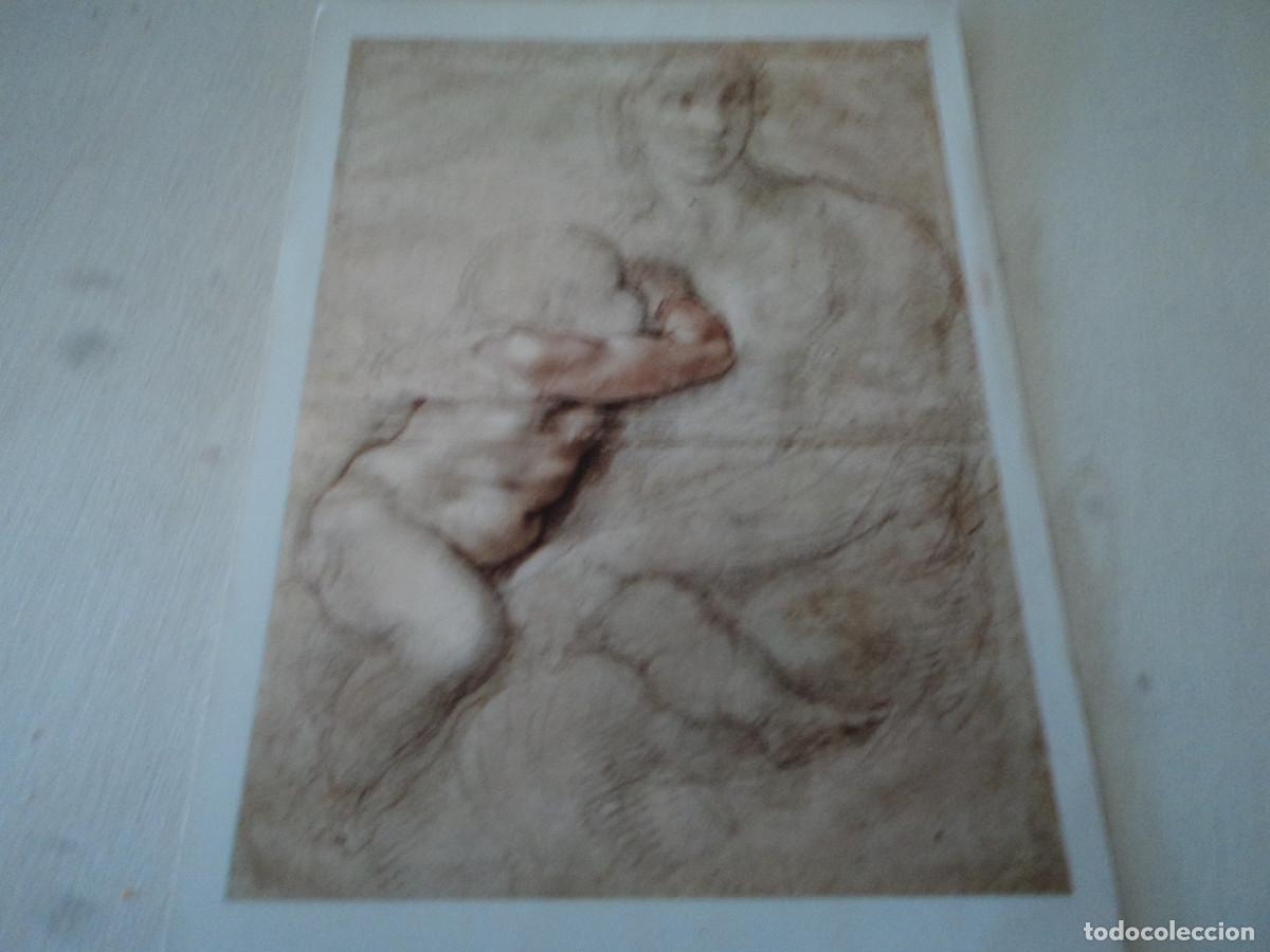 Postales: michelangiolo, madonna col bambino, ed. giusti