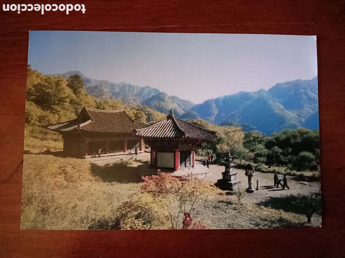 Postales: TARJETA POSTAL VINTAGE - Foto 1