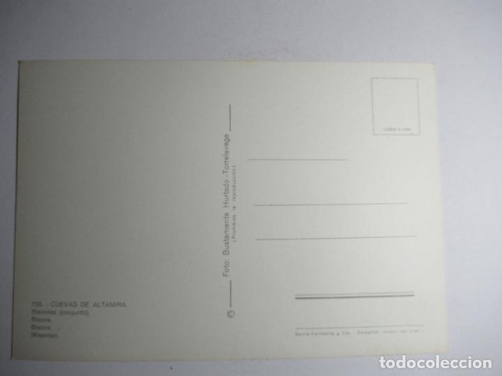 Postales: Cuevas de Altamira - Bisontes - Foto 2
