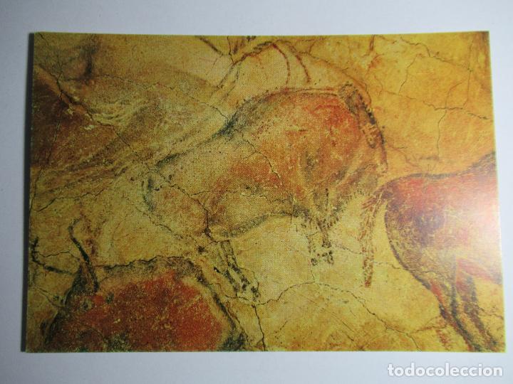 Postales: Cuevas de Altamira - Bisontes - Foto 1