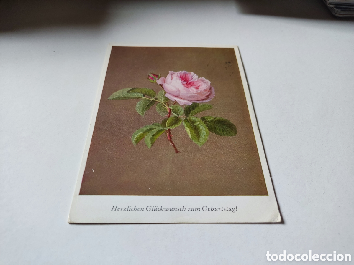 Postales: Postal Rosa arte - Foto 1