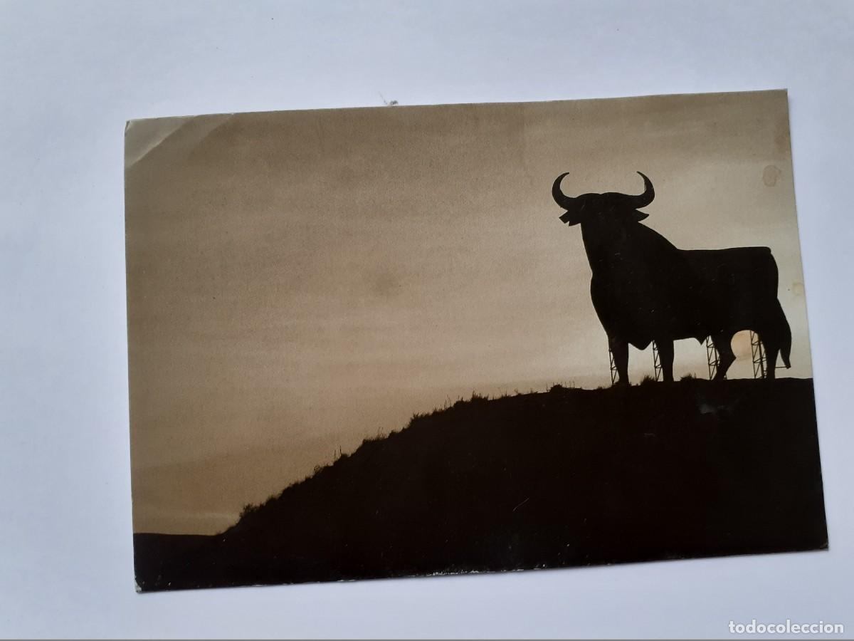 Postales: POSTAL - JAVIER ANDRADA EL TORO - ED. ASANGRE - Foto 1