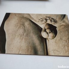 Cartoline: POSTAL FIRENZE,EL PENE DE DAVID