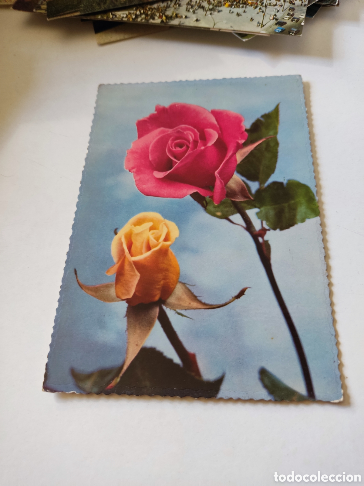 Postcards: Postal flores
