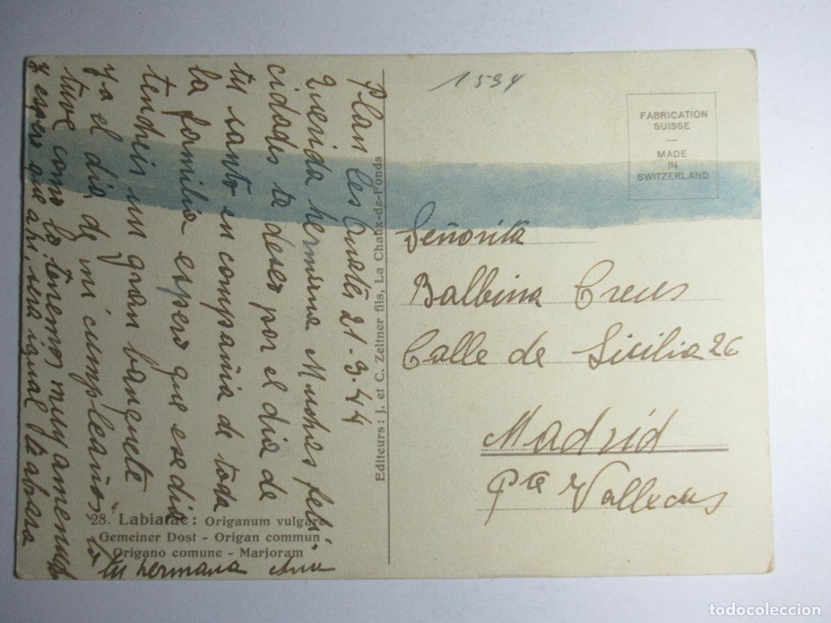 Postales: C. Zeltner - Or&eacute;gano - Foto 2