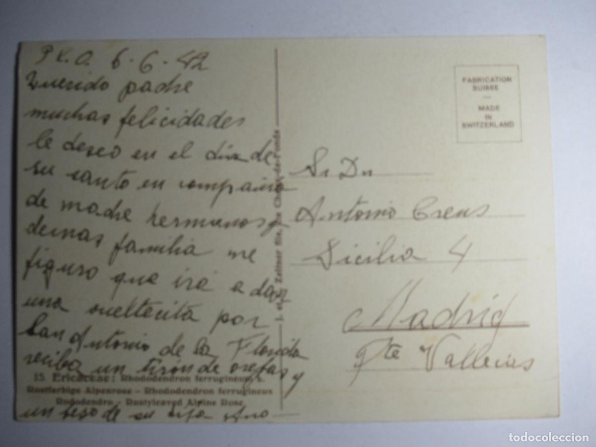 Postales: C. Zeltner - Ericaceae - Foto 2
