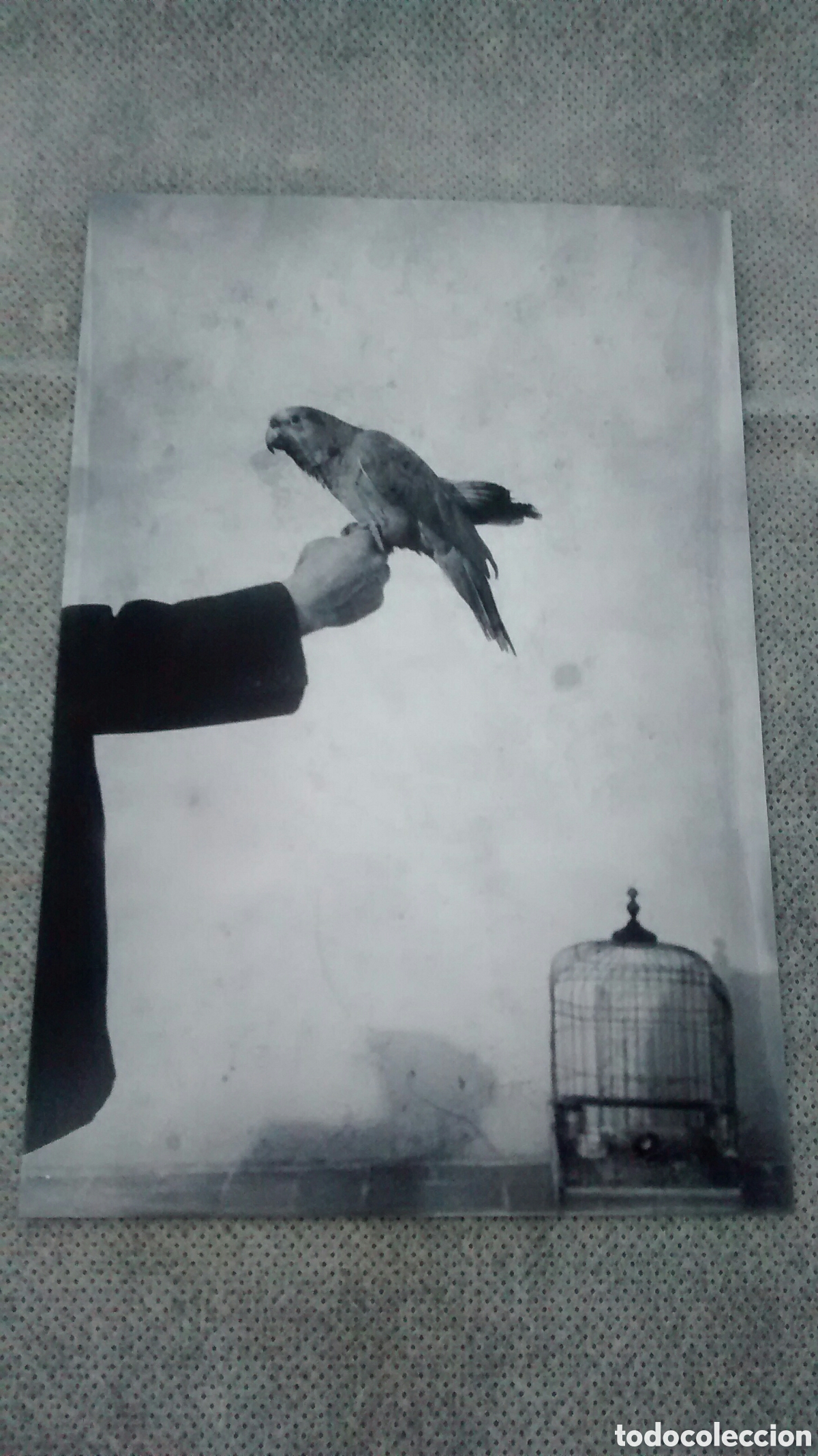 Postcards: FORMAT POSTAL. EXPOSICIO FAMILIA, AMICS I FOTOGRAFIA. ENTORN DE L&acute;ESPAI FOTOGRAFIC DE LA LLAR. (A6)