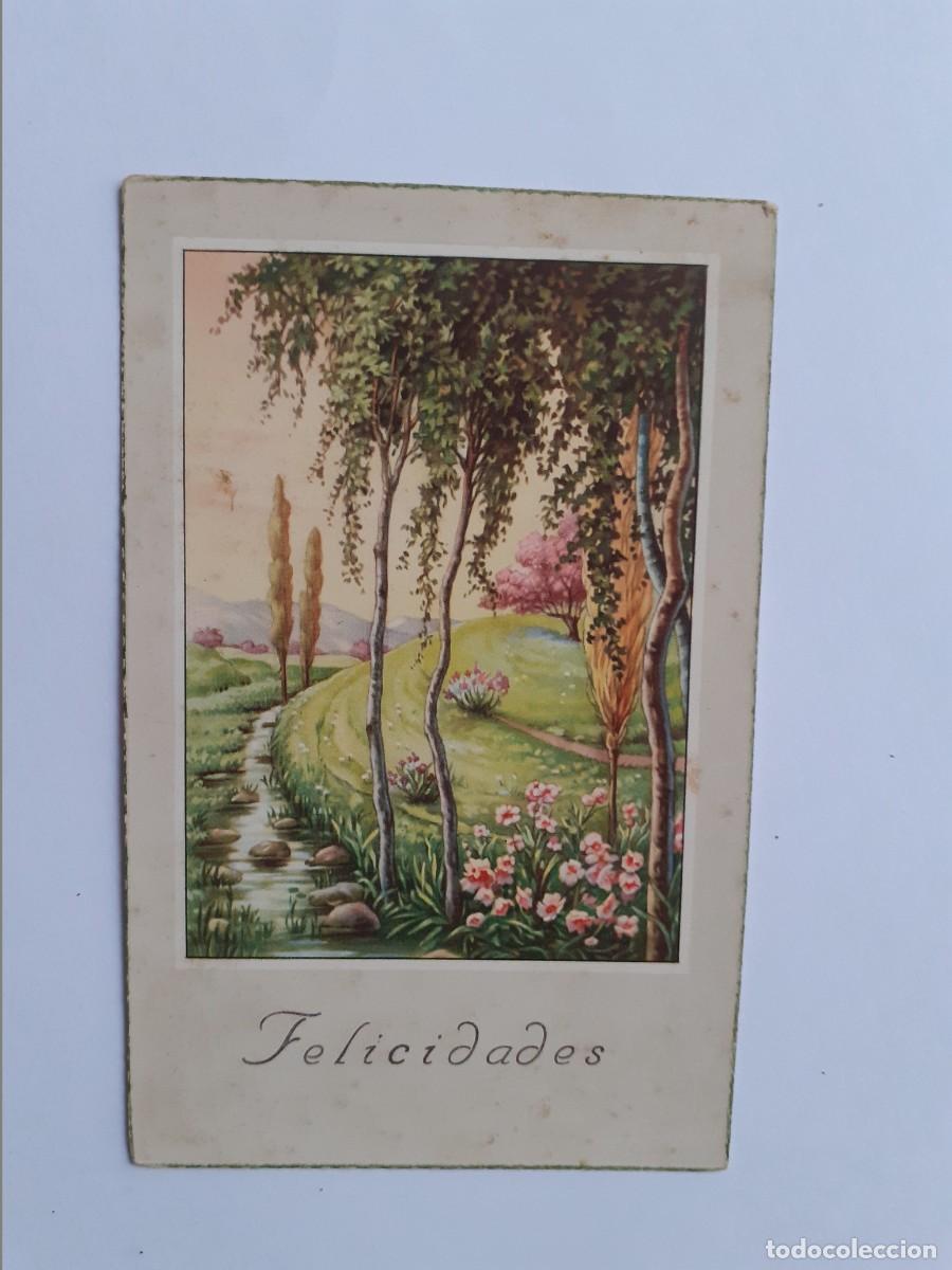 Cartes Postales: POSTAL - FELICIDADES - NATURALEZA - 4036 - ESCRITA
