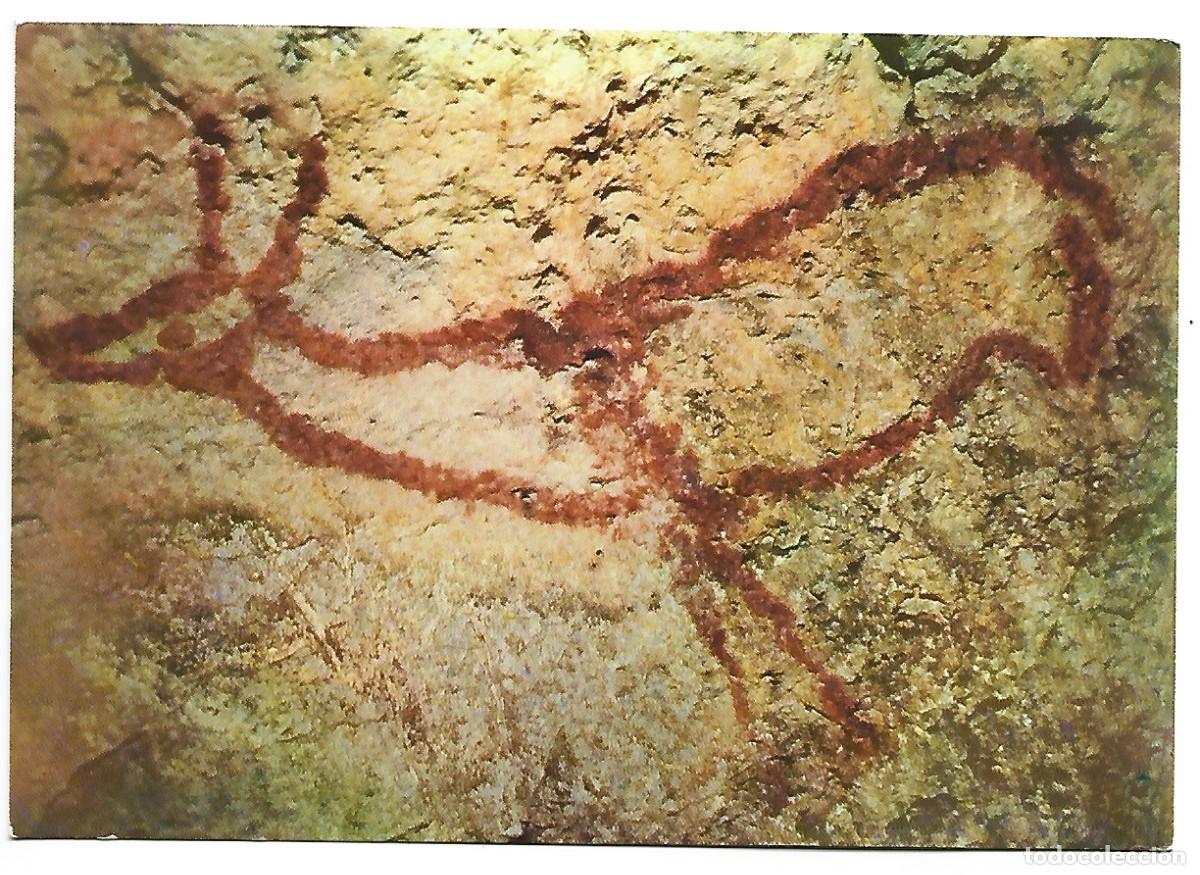 Postales: CIERVA CUEVA DE COVALANAS RAMALES SANTANDER - Foto 1