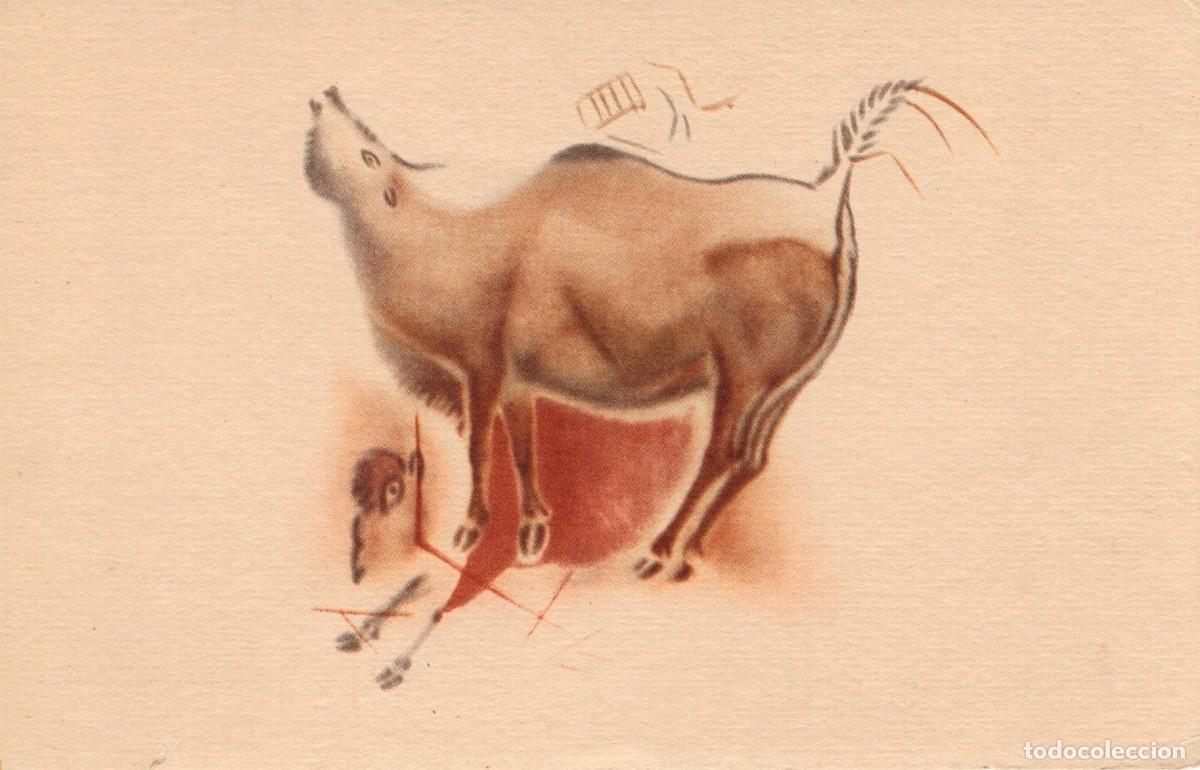 Postales: Postal Patronato Cuevas de Altamira n&ordm; 2. Bisontes galopando y mugiendo. Ed. Seix Barral. 1959.