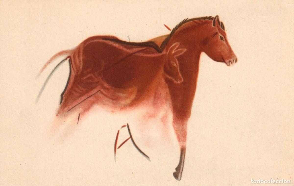 Postales: Postal Patronato Cuevas de Altamira n&ordm; 5. Caballo sobre cierva. Ed. Seix Barral. 1959.