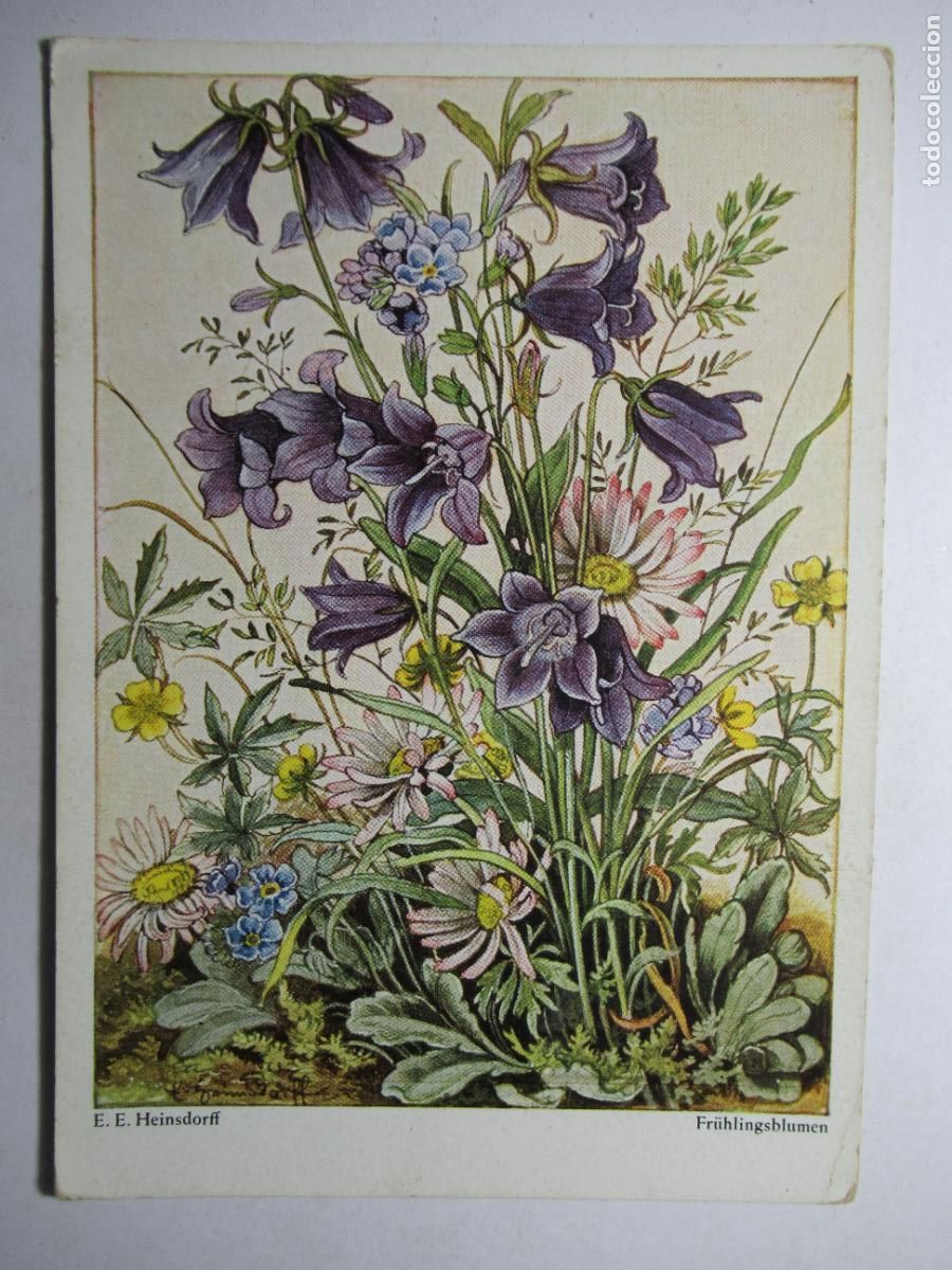 Postales: E.E. Heinsdorff - Fruhlingsblumen - Foto 1