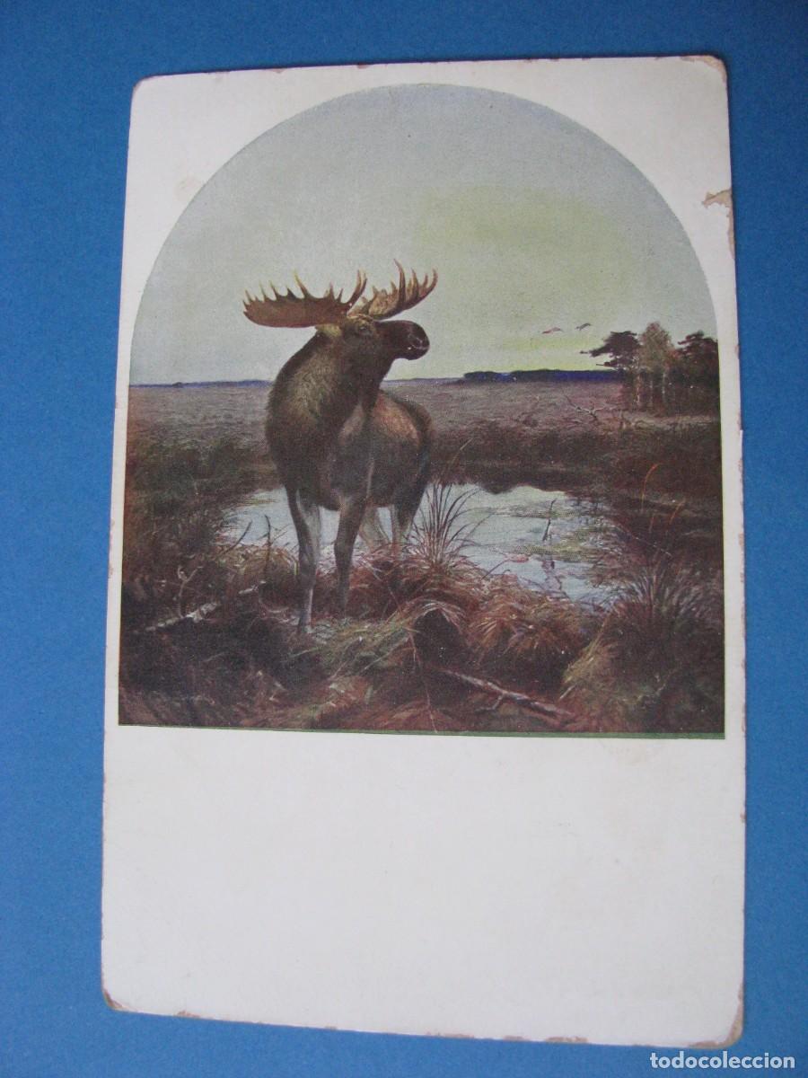 POSTAL DE IL. CARL VON DOMBROWSKI. J&Auml;GERHORN.