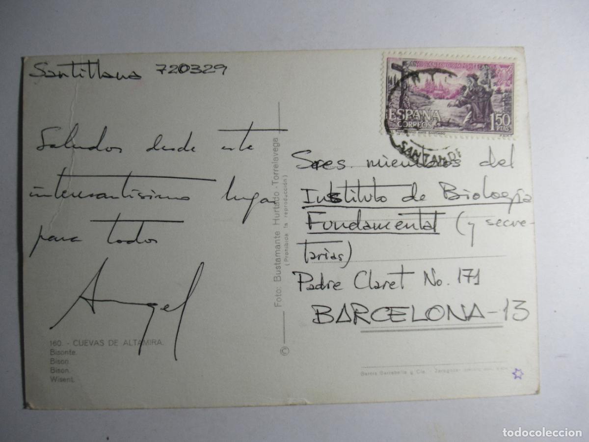 Postales: Cuevas de Altamira - Bisonte - Foto 2