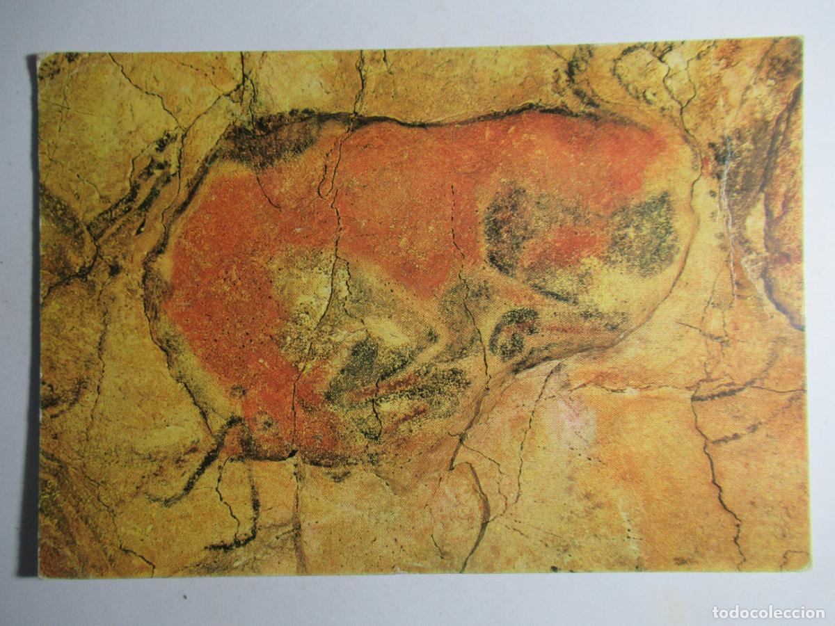 Postales: Cuevas de Altamira - Bisonte - Foto 1
