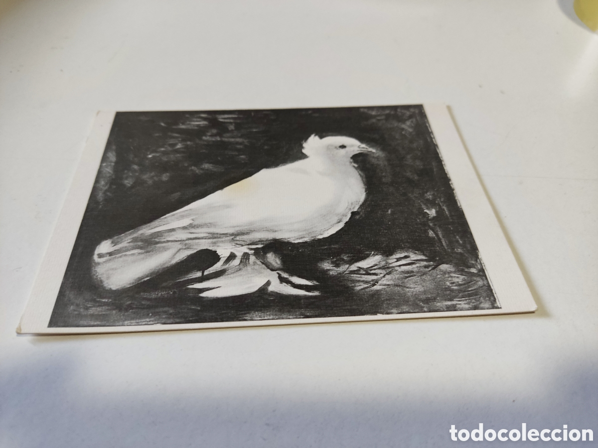 Postales: Postal Arte la paloma, Picasso - Foto 1