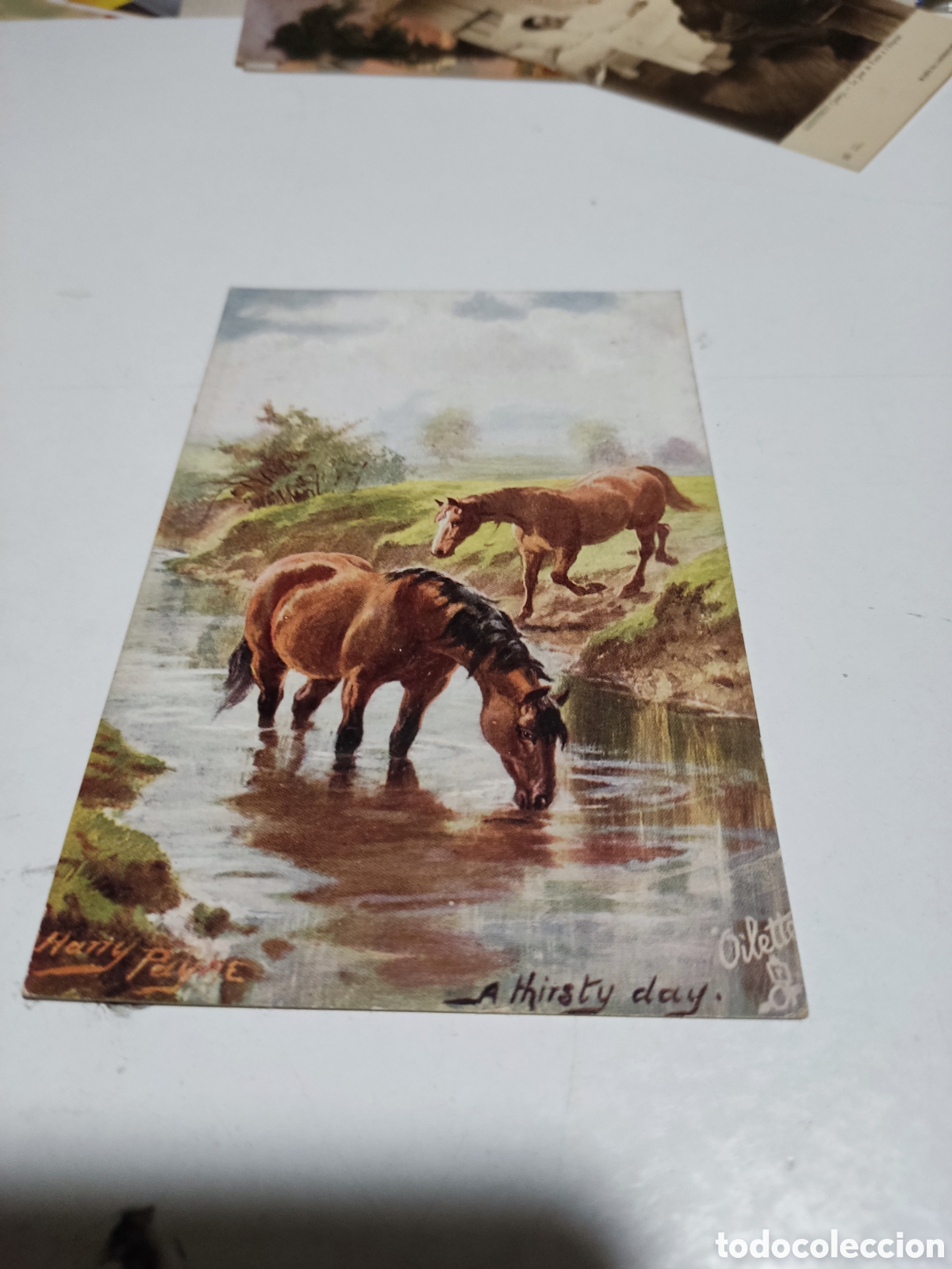 Postales: Postal antigua Arte dibujo caballos