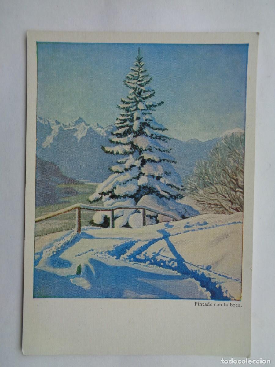 Cartes Postales: POSTAL CON PINTURA DE A..E. STEGMANN : NIEVE EN LOS ALPES ( INTADO CON LA BOCA ) . A&Ntilde;OS 50