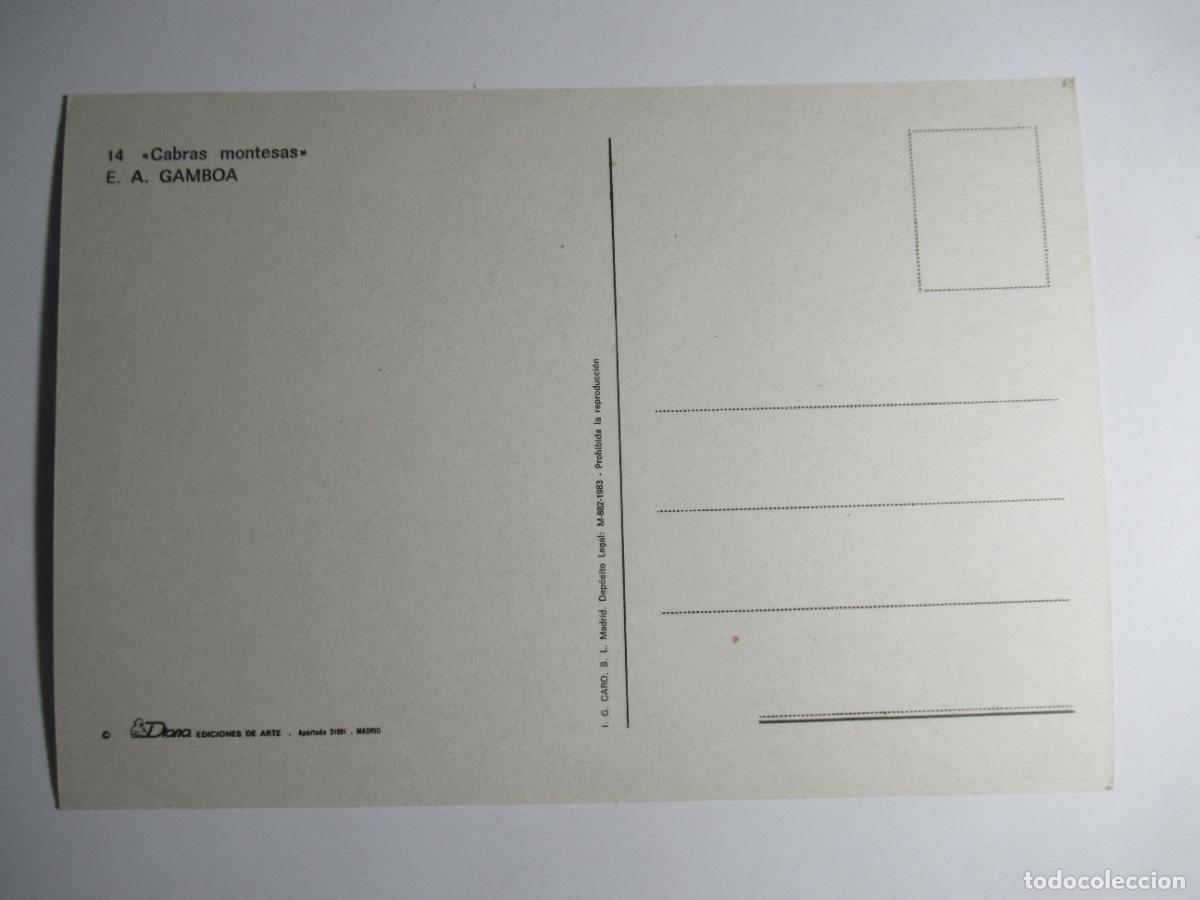 Postales: E.A. Gamboa - Cabras montesas - Foto 2