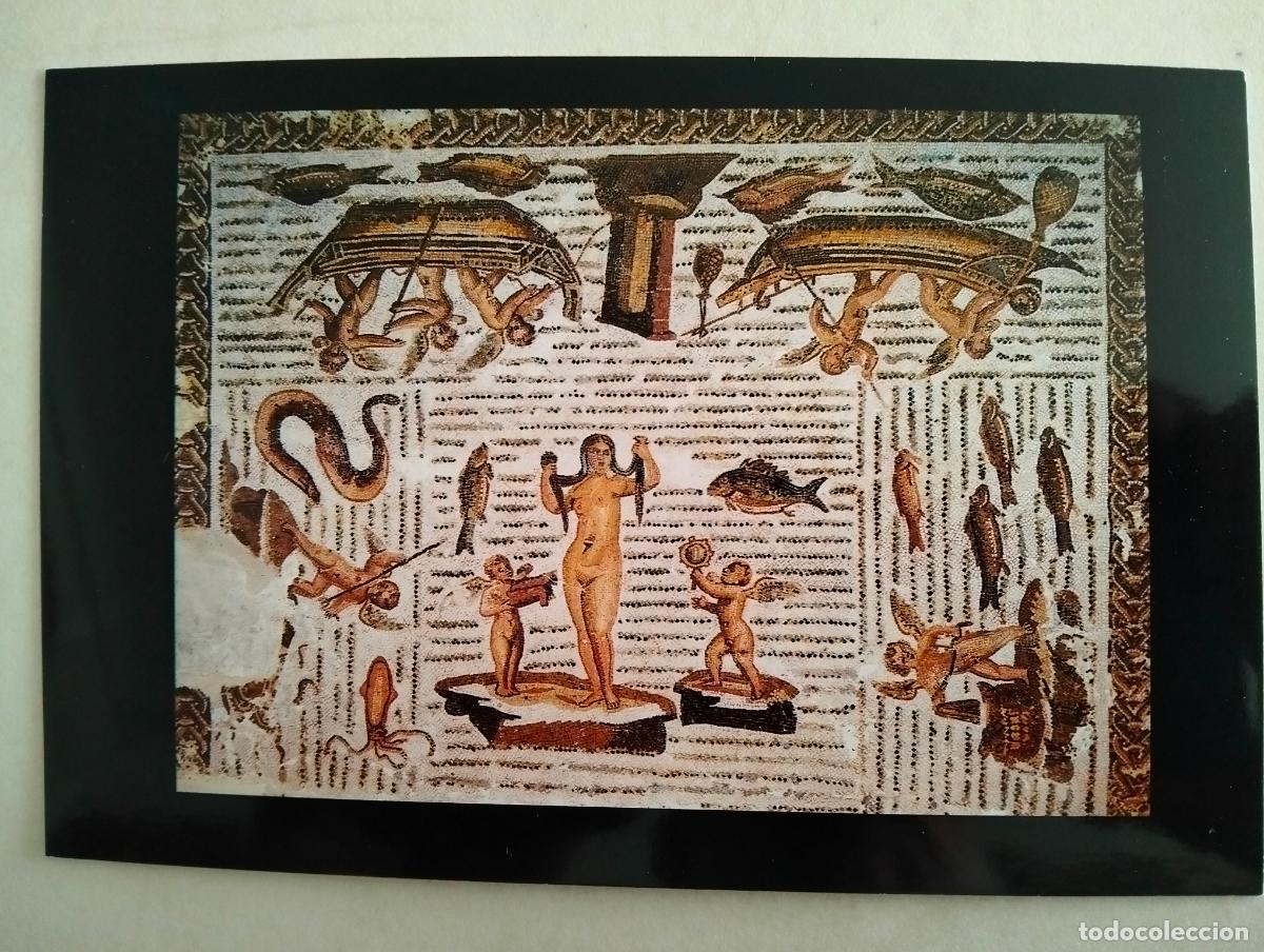 Cartes Postales: EL BA&Ntilde;O DE VENUS, MUSEO DE LEMTA, A&Ntilde;O 1997