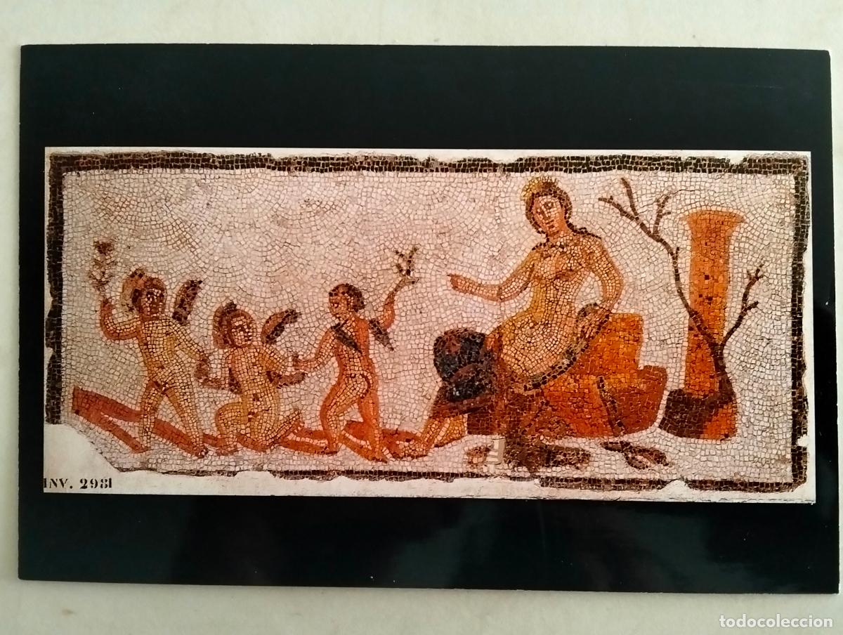 Cartes Postales: VENUS Y LOS AMORES, MUSEO DE BARDO, A&Ntilde;O 1997