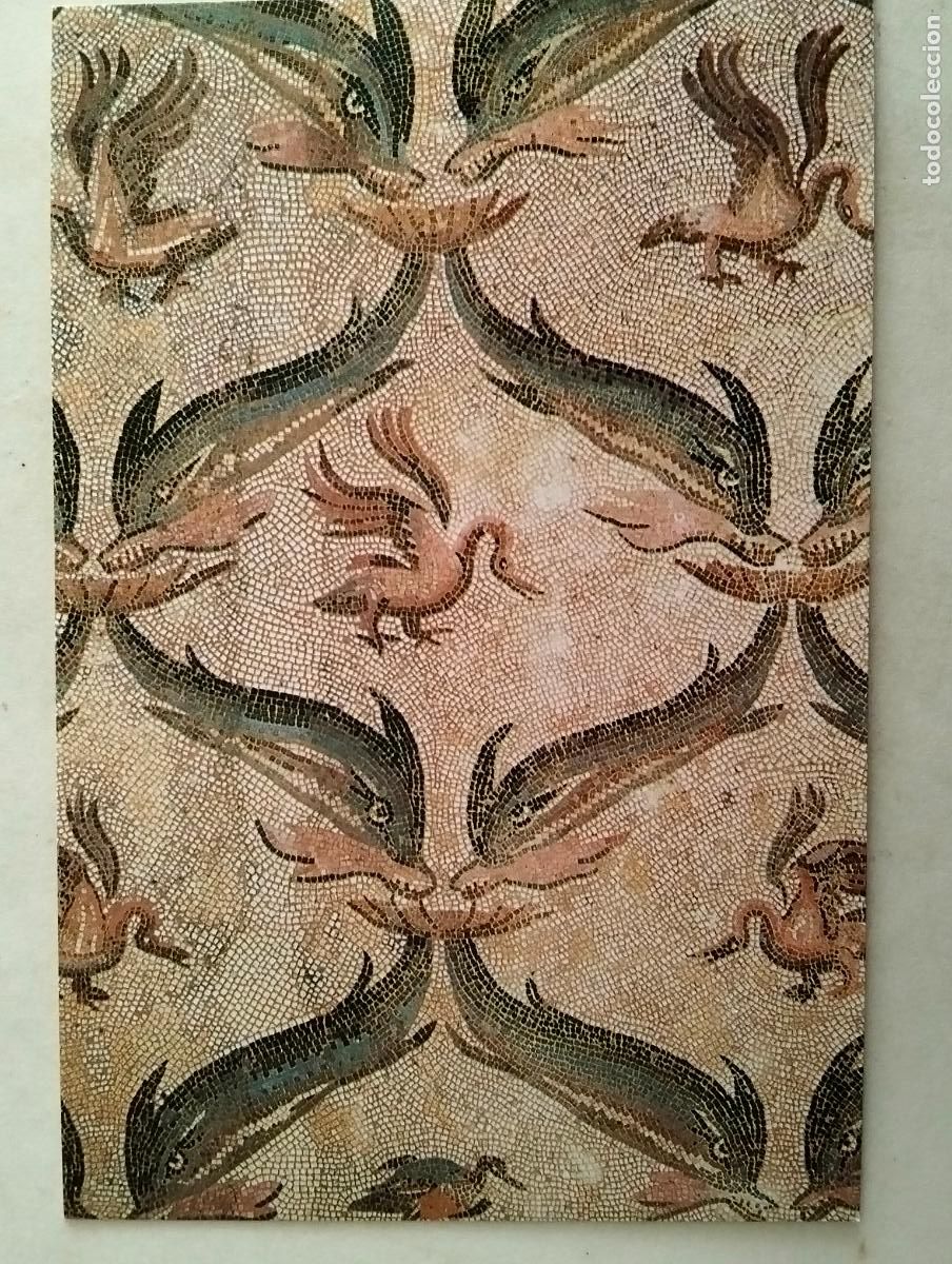 Cartes Postales: DELFINES Y PATOS, MUSEO DESDE EL JEM , A&Ntilde;O 1997