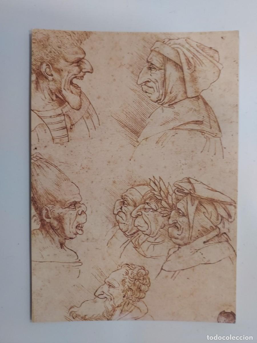 Postales: POSTAL LEONARDO DA VINCI. SETTE TESTE GROTTESCHE. FIRENZE. SIN CIRCULAR - Foto 1