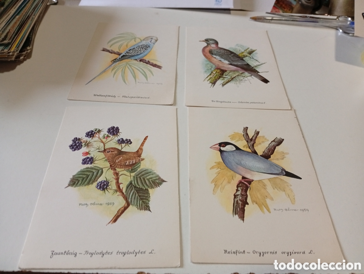 Postcards: 11 postales dibujos p&aacute;jaros por Gonner Alemania