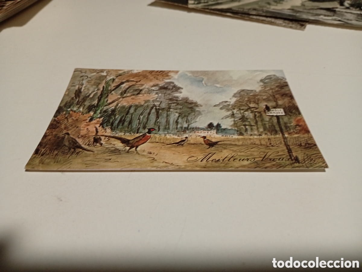Postkarten: Postal arte dibujo Meilleurs