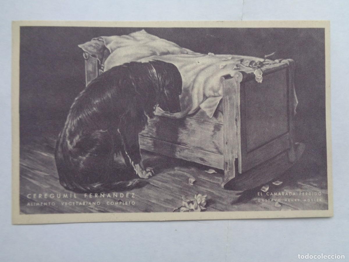 Postcards: POSTAL PINTURA GUSTAVO HENRYMOSLER: EL CAMARADA PERDIDO PUBLICIDAD FARMACIA CEREGUMIL.