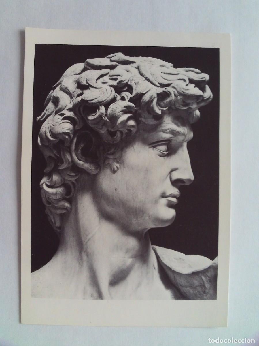 Postcards: FOTO DE DAVID DE MIGUEL ANGEL BELLAS ARTES DE FLORENCIA