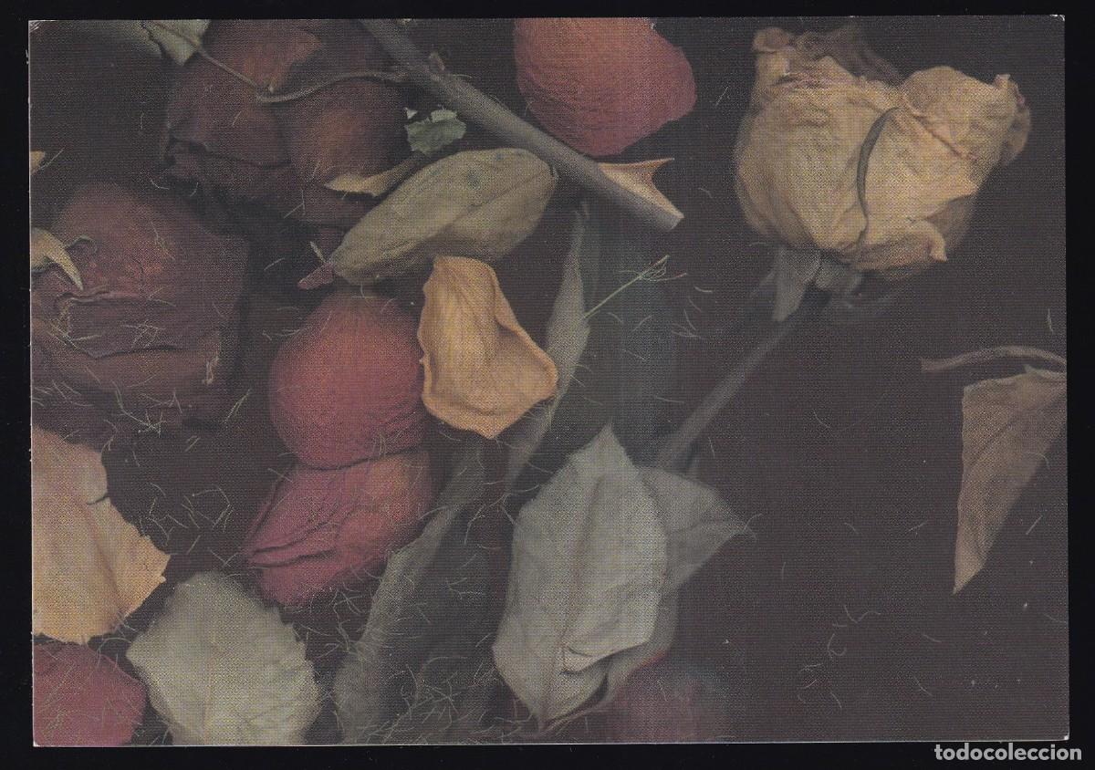 Cartes Postales: Expo Arte *Toni Coll Tort* La Casa Elizalde, Barcelona 1999.