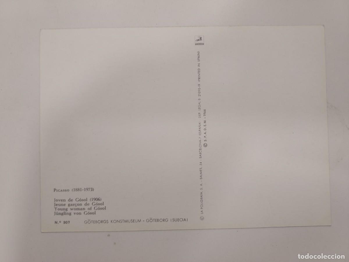 Postales: POSTAL PICASSO JOVEN DE GOSOL. SIN CIRCULAR - Foto 2