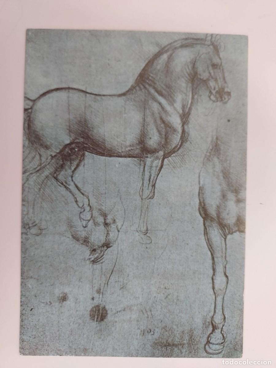 Postales: POSTAL LEONARDO. STUDIO DI CAVALLI. FIRENZE. SIN CIRCULAR - Foto 1
