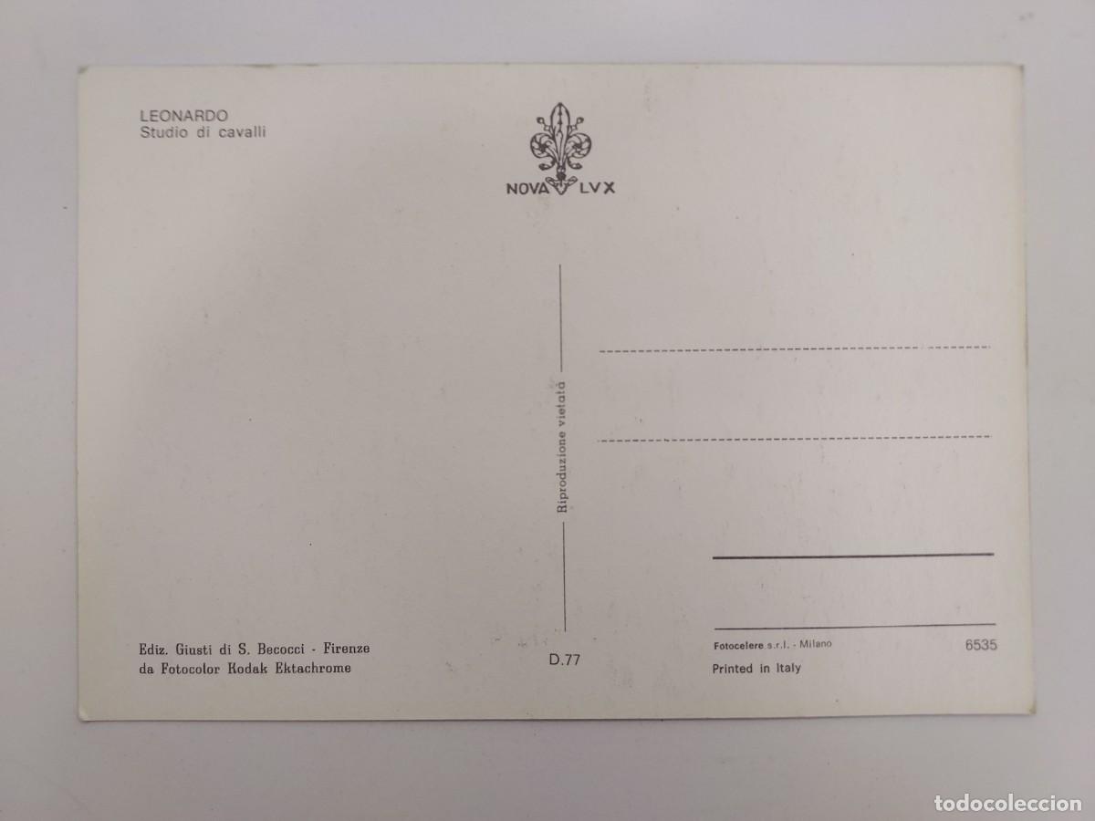Postales: POSTAL LEONARDO. STUDIO DI CAVALLI. FIRENZE. SIN CIRCULAR - Foto 2