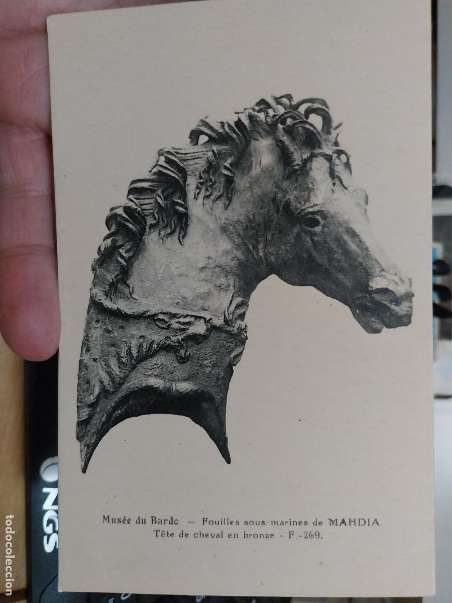 Postcards: MUSEE DU BARDO CABEZA CABALLO POSTAL SC ANTIGUA