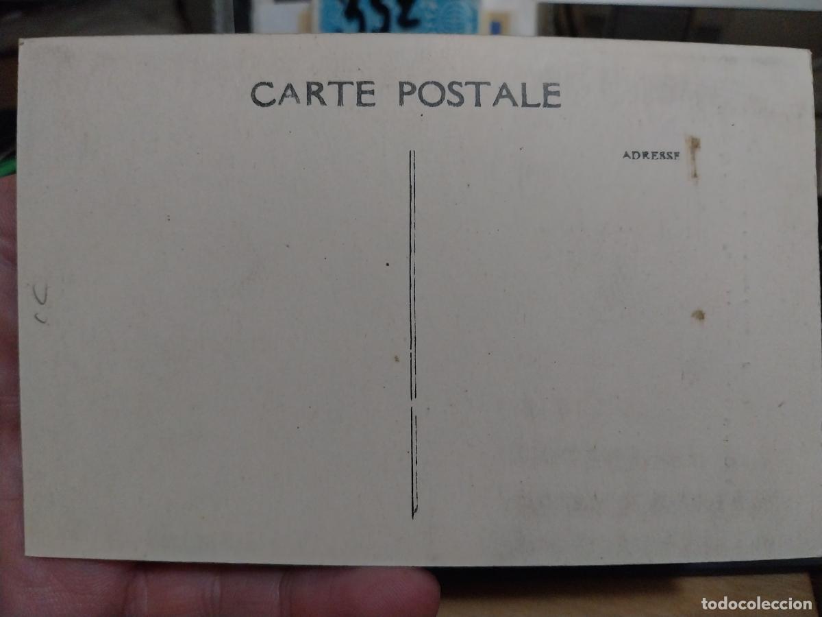 Postales: MUSEE DU BARDO CABEZA CABALLO POSTAL SC ANTIGUA - Foto 2